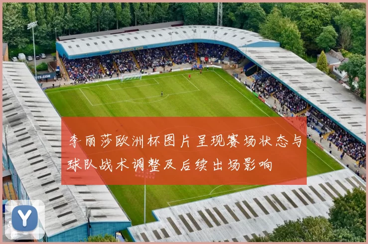 李丽莎欧洲杯图片呈现赛场状态与球队战术调整及后续出场影响