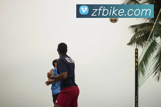 App Interface Preview